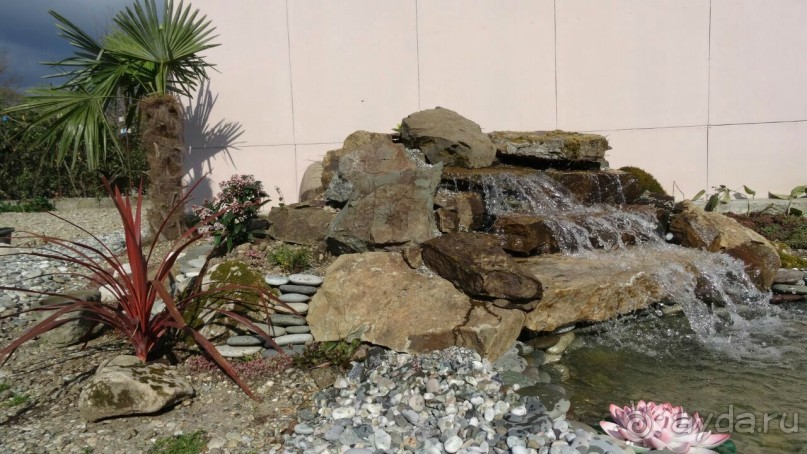 Хостел Кипарис - не дорогой, уютный, с хорошим питанием