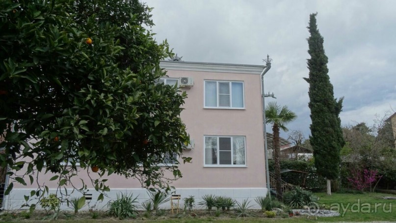 Хостел Кипарис - не дорогой, уютный, с хорошим питанием