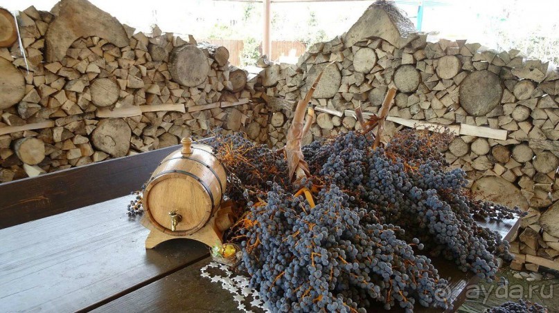 Хостел Кипарис - не дорогой, уютный, с хорошим питанием