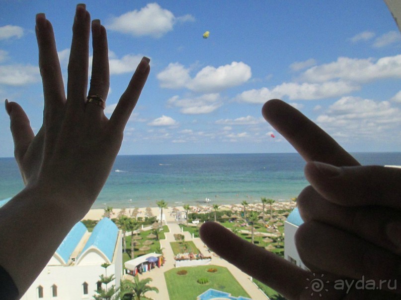 Мой медовый месяц в Amir Palace