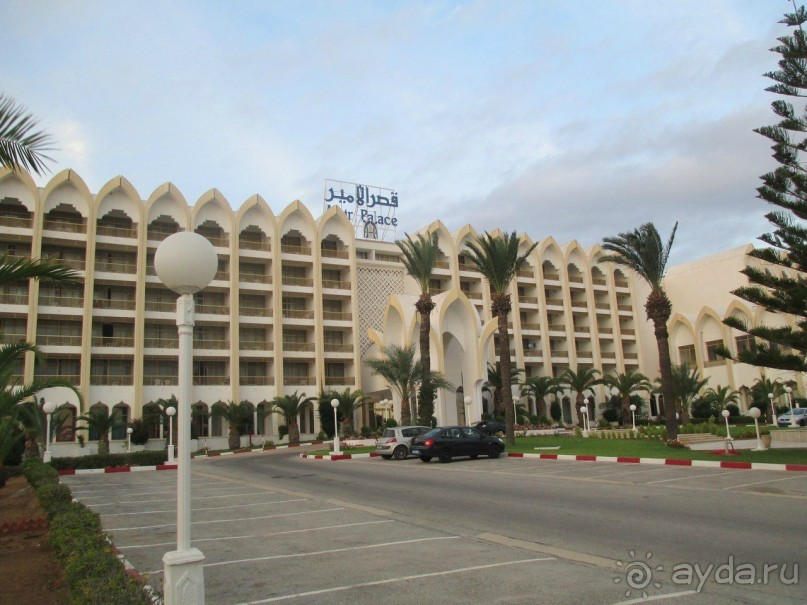 Мой медовый месяц в Amir Palace