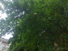 Живописный отдых в Гурзуфе, Крым.