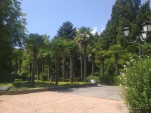 Живописный отдых в Гурзуфе, Крым.