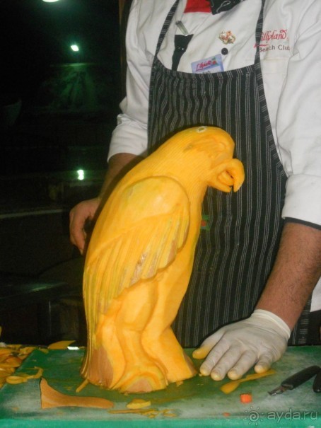 Для первого отдыха за границей неплохой отель