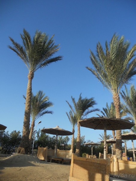 Для первого отдыха за границей неплохой отель