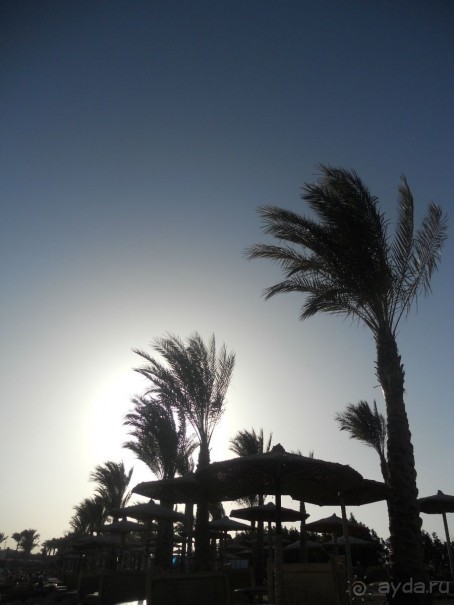 Для первого отдыха за границей неплохой отель