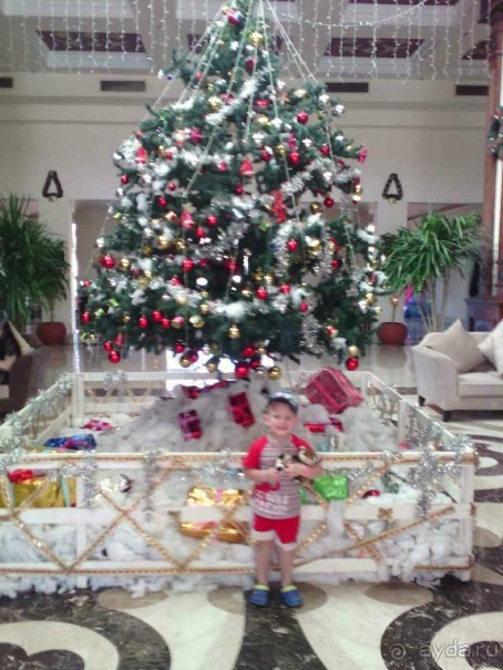 недорогой но классный отдых в Египте, Шарм эль Шейх