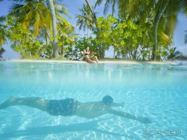 Качественный отдых по низким ценам!