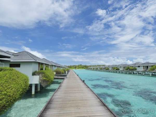 Качественный отдых по низким ценам!