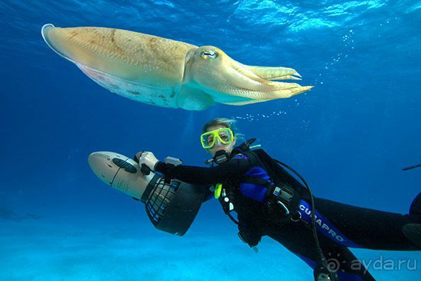 фото на Мальдивах