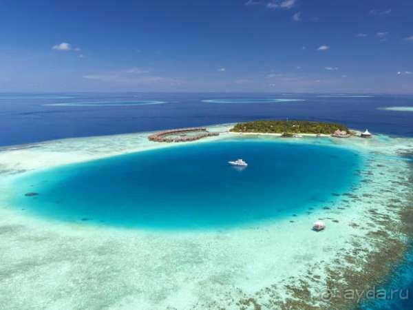 Альбом отзыва "Дайвинг на Мальдивах"