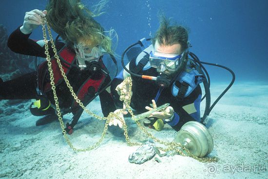 Альбом отзыва "Дайвинг на Мальдивах"