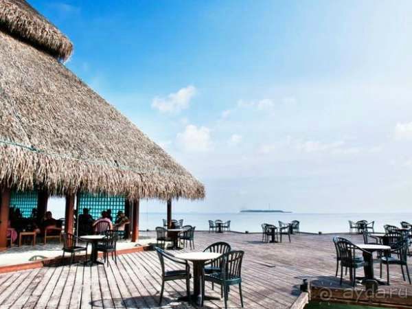 Медовый месяц в раю! Медовый месяц в раю!