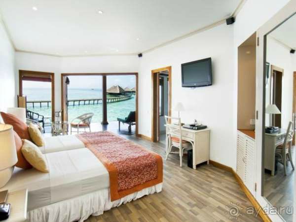 Медовый месяц в раю! Медовый месяц в раю!