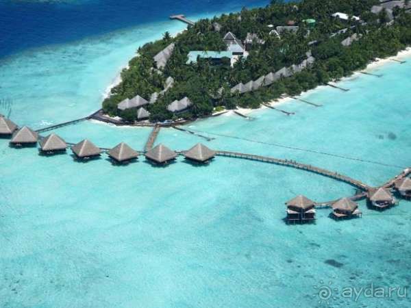 Медовый месяц в раю!