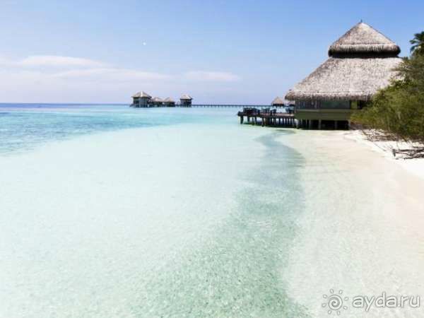 Медовый месяц в раю!