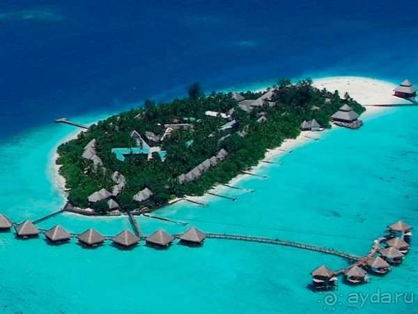 Медовый месяц в раю!