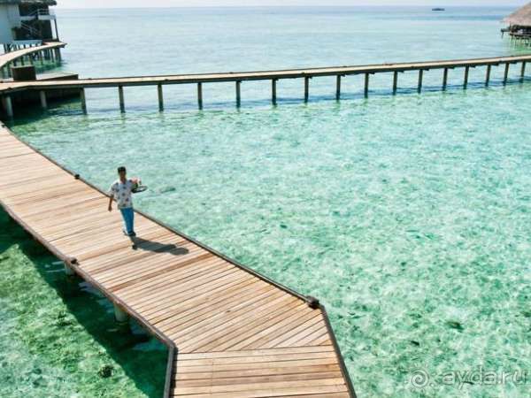 Медовый месяц в раю!