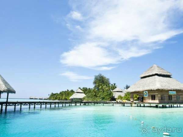 Медовый месяц в раю!