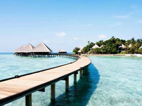 Медовый месяц в раю!