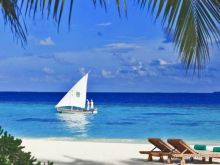 Хотите заняться дайвингом? Приезжайте в наш отель!