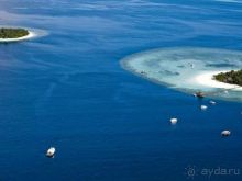 Хотите заняться дайвингом? Приезжайте в наш отель!