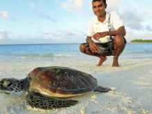 Хотите заняться дайвингом? Приезжайте в наш отель!