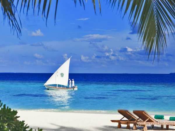 Хотите заняться дайвингом? Приезжайте в наш отель!