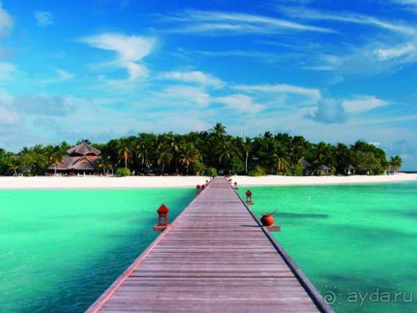 Хотите заняться дайвингом? Приезжайте в наш отель!