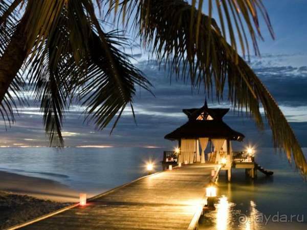 Хотите заняться дайвингом? Приезжайте в наш отель!