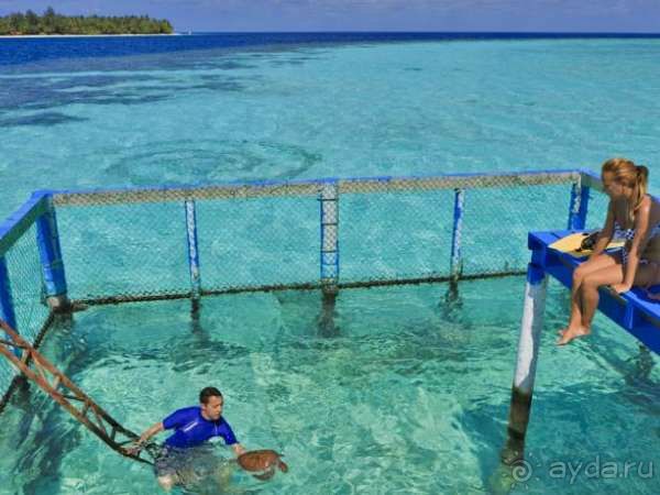 Хотите заняться дайвингом? Приезжайте в наш отель!