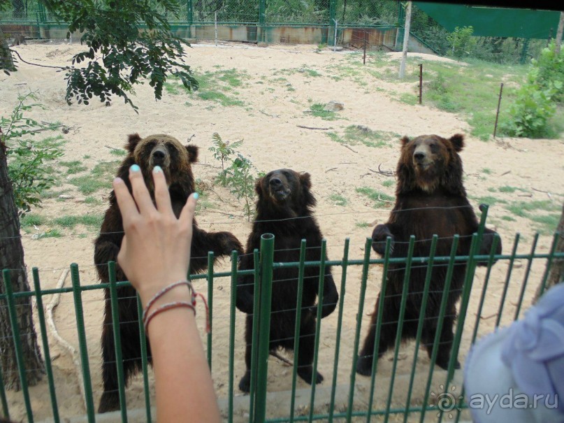 сафари-парк - недалеко от города, красиво, удобно