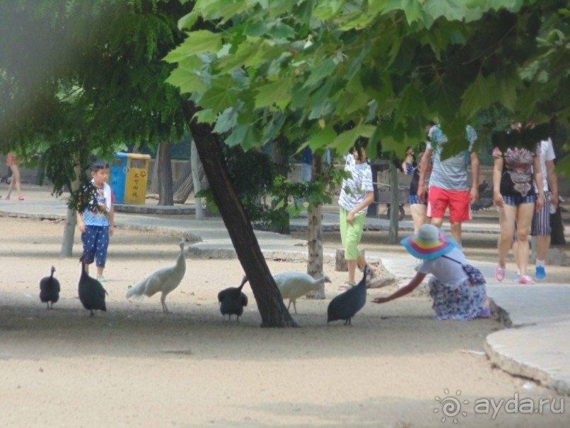 сафари-парк - недалеко от города, красиво, удобно