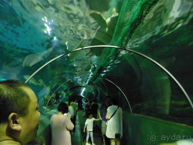 грязно и скучно