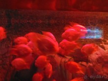 грязно и скучно