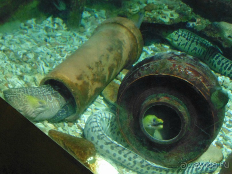 грязно и скучно