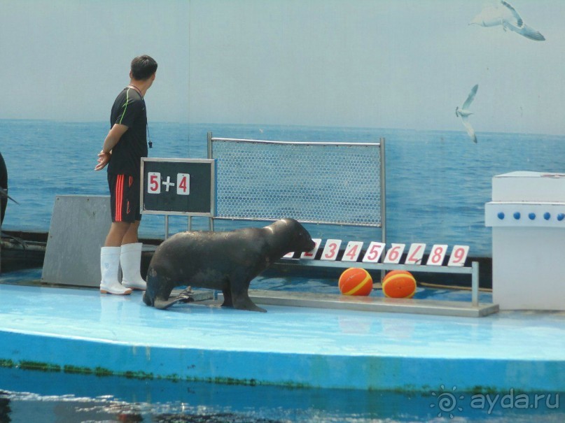 грязно и скучно