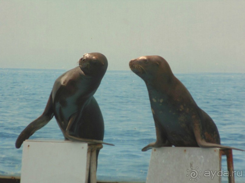 грязно и скучно