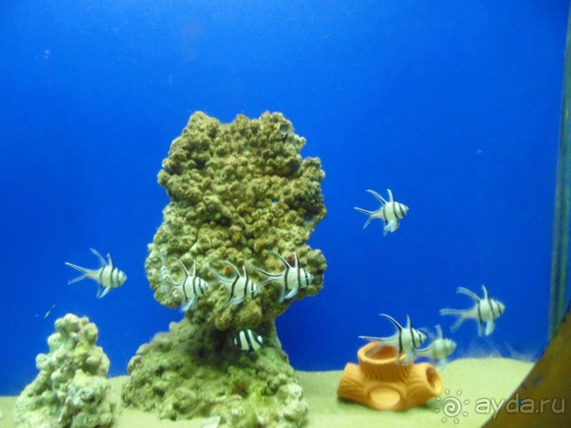 грязно и скучно