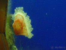 грязно и скучно