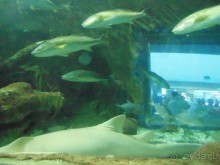 грязно и скучно