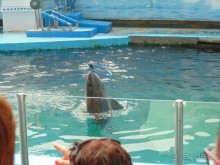 грязно и скучно