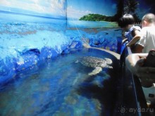 грязно и скучно