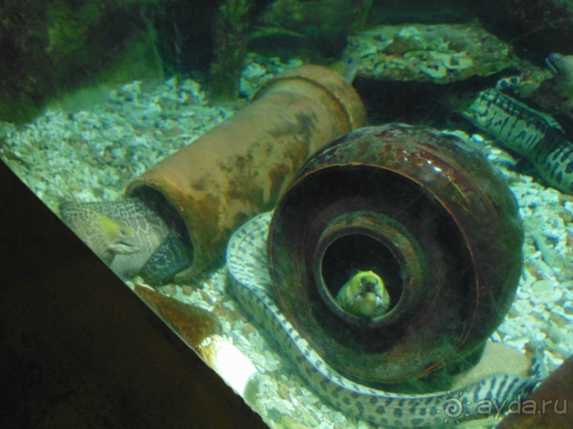 грязно и скучно