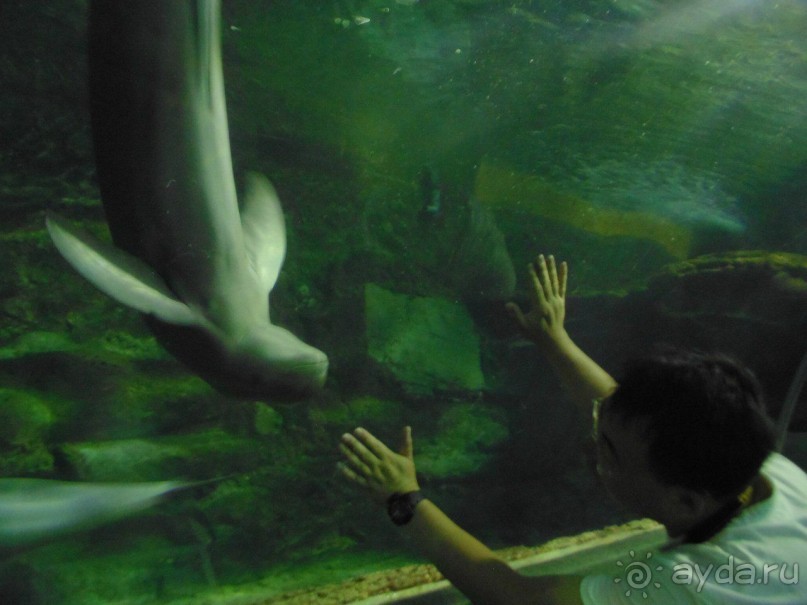 грязно и скучно