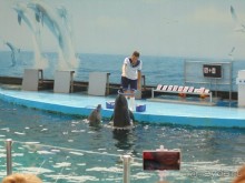 грязно и скучно