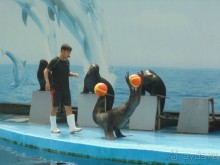 грязно и скучно