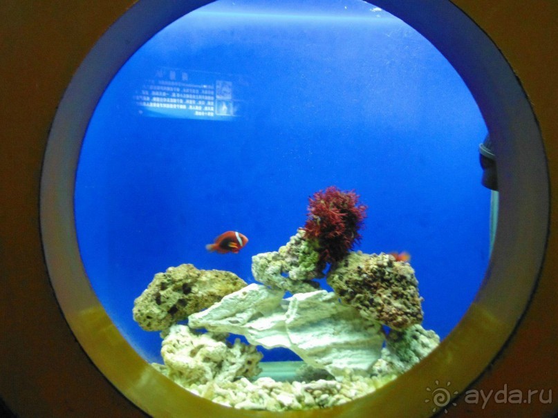 грязно и скучно