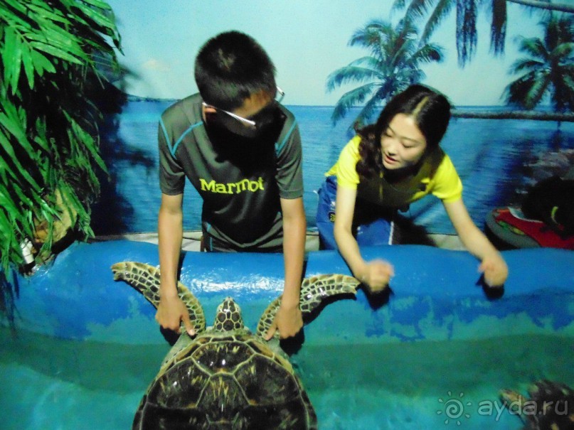 грязно и скучно