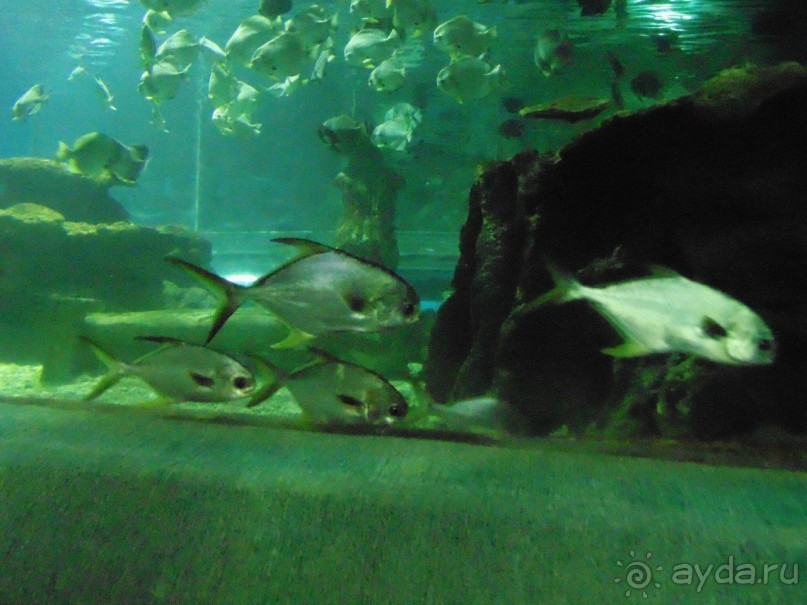 грязно и скучно